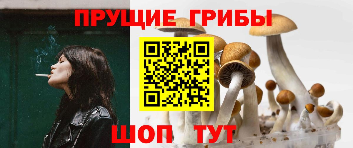 Псилоцибиновые грибы мухоморы Прохладный
