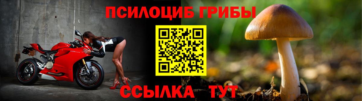 Прохладный  Галлюциногенные грибы Psilocybe  Вход с VPN 
